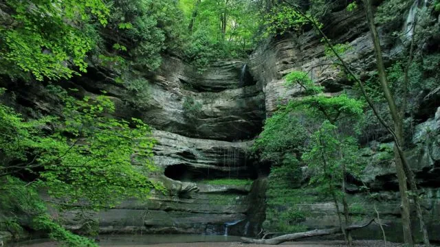 Discover 5 Most Amazing Parks in Illinois You Don’t Want to Miss