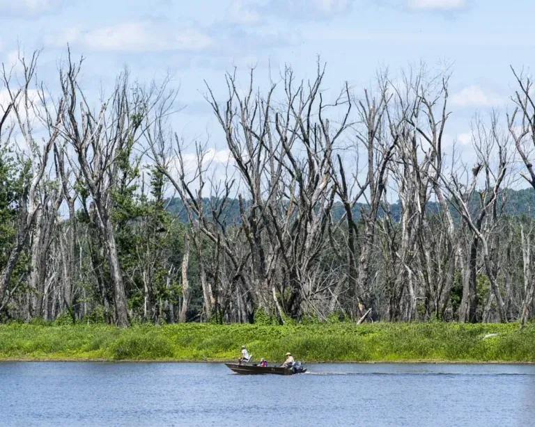 the worst place to live in Mississippi is Forest.