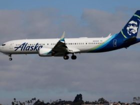 Alaska Airlines Plane Was Struck by an Eagle, Forcing the Flight Back to the Airport