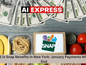 $1,756 in Snap Benefits in New York January Payments Will Soon End