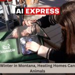 During the Winter in Montana, Heating Homes Can Help Stray Animals