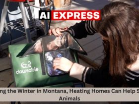 During the Winter in Montana, Heating Homes Can Help Stray Animals