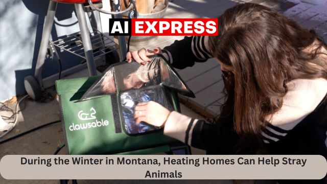 During the Winter in Montana, Heating Homes Can Help Stray Animals