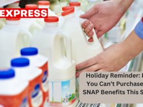 Holiday Reminder Items You Can’t Purchase with SNAP Benefits This Season (1)