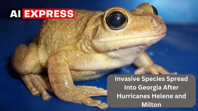 Invasive Species Spread Into Georgia After Hurricanes Helene and Milton