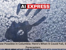 Snow Possible in Columbia Here's When It Could Fall, Say Forecasters