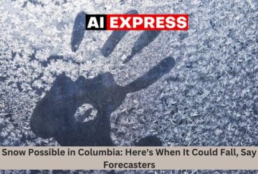 Snow Possible in Columbia Here's When It Could Fall, Say Forecasters