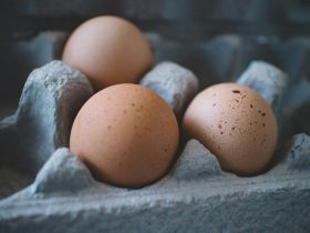 Connecticut Egg Prices Increase Farmers Struggle to Meet Demand