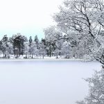 Massachusetts Schools Face Backlash Over Snow Day Decisions