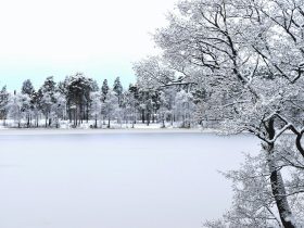 Massachusetts Schools Face Backlash Over Snow Day Decisions